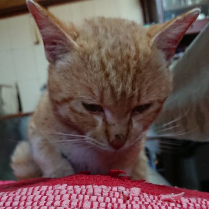 114fa1f3 a056 4e81 96c9 ba0ae56205f3 1555112451782