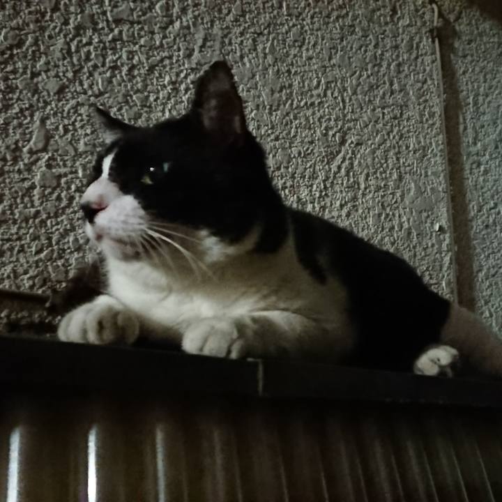 114fba36 31de 4e41 ad76 58e6244fbf0b 1565707907678