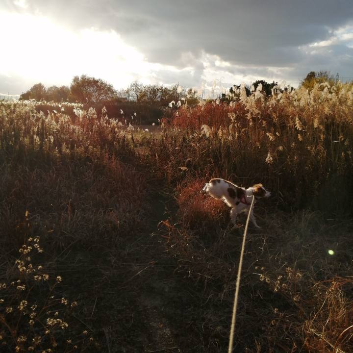 114fc203 4132 4ad3 a1ba 2abea3fa4500 1608463645751