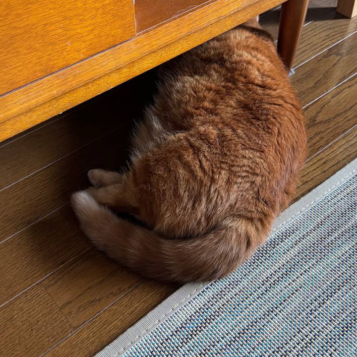 114fefb9 2890 4dc3 987e bd8aad81c12e 1722171151568