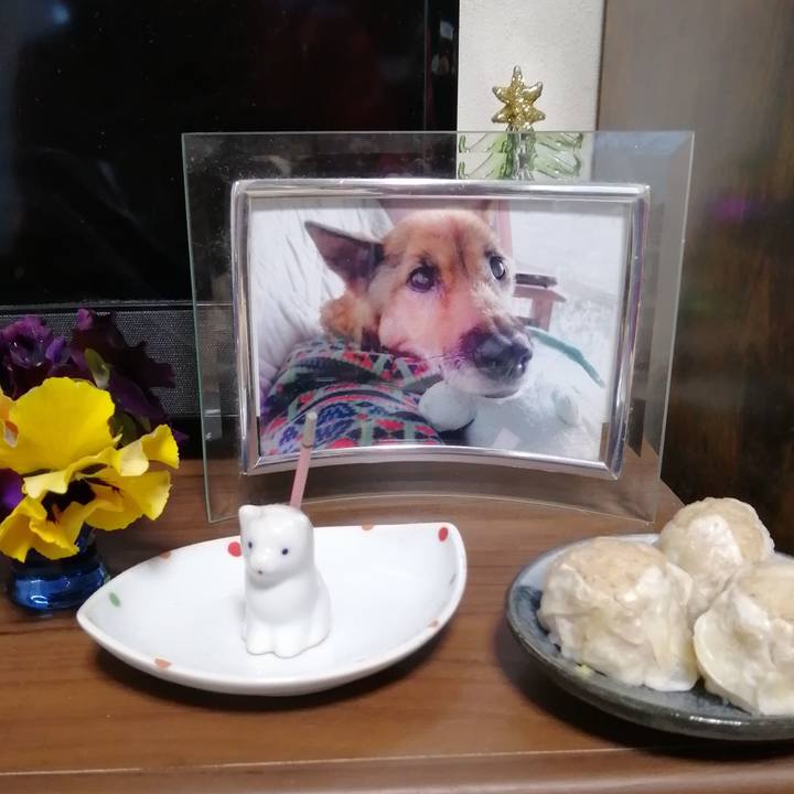 114ff153 bd42 49ab bb72 2899489894e5 1641627190301