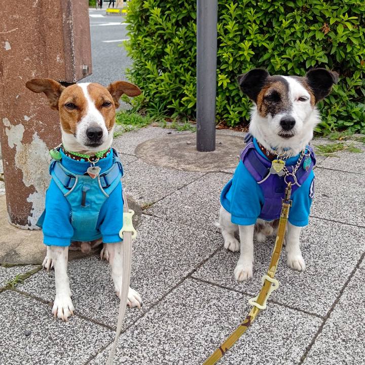 115018d3 f44c 4643 b2b1 be260f2d75ac 1655159848192