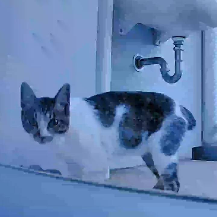 1150592b 464b 44f0 9544 485f8d449d43 1720512675904