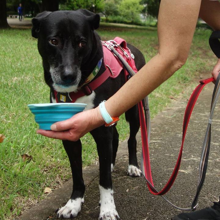 11508f4f 7339 4170 aff7 f19614008eda 1693094275929