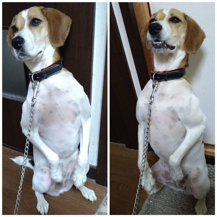 11509223 ab86 4cfa 878f 47b821245e56 1627698488984