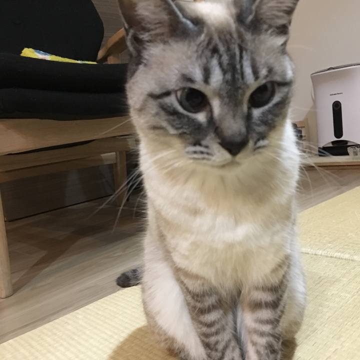 1150a5e3 77a3 435f b404 2422170bf1af 1585474579612