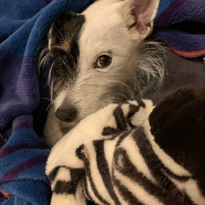 1150b69b dcb3 4239 a596 3f96da1a4646 1672840197786