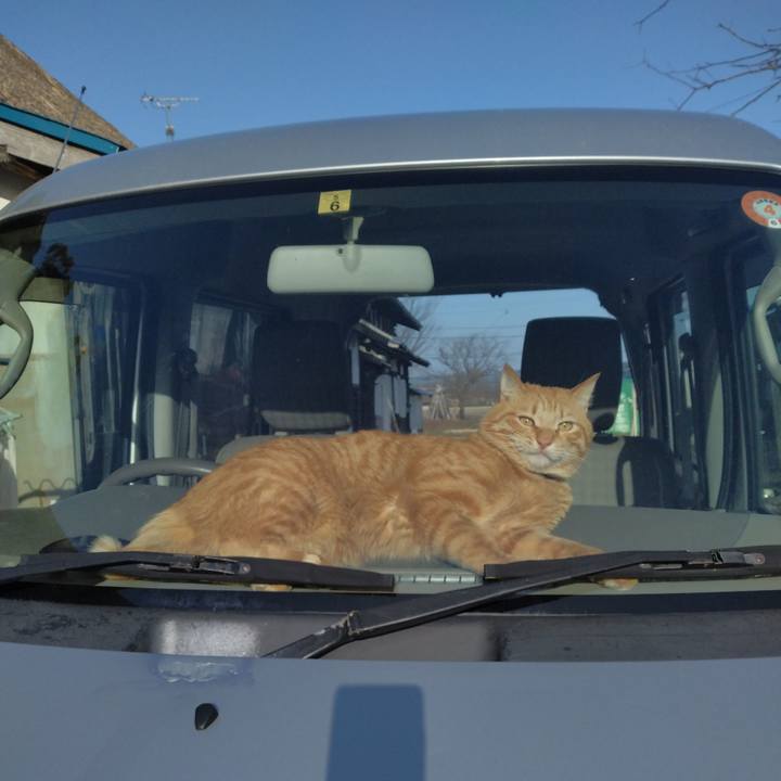 1150b869 7d65 462d 9c79 1f8cda44bcc2 1679987797662