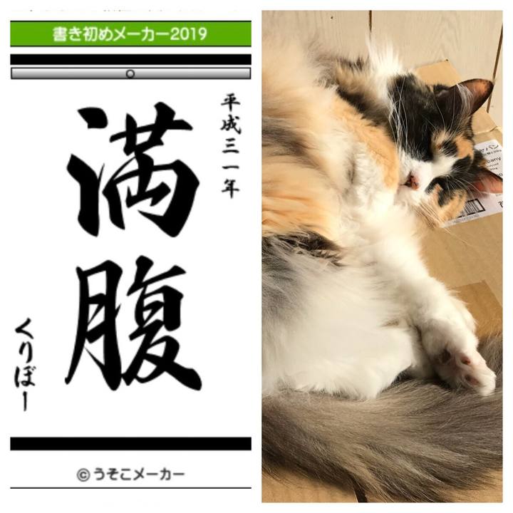 1150fad9 954a 4ba8 96aa 1602b53dfc07 1546428919288