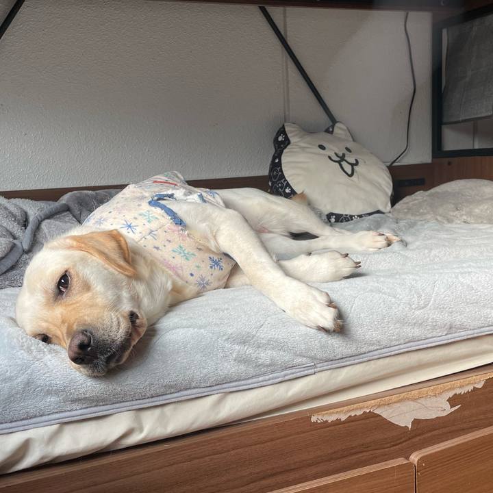 11511a03 ad94 4648 93d1 68372472af25 1700046572647