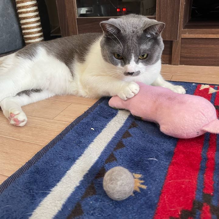 11511ea8 6cd3 4f50 b218 1c0482e4256d 1664075645149