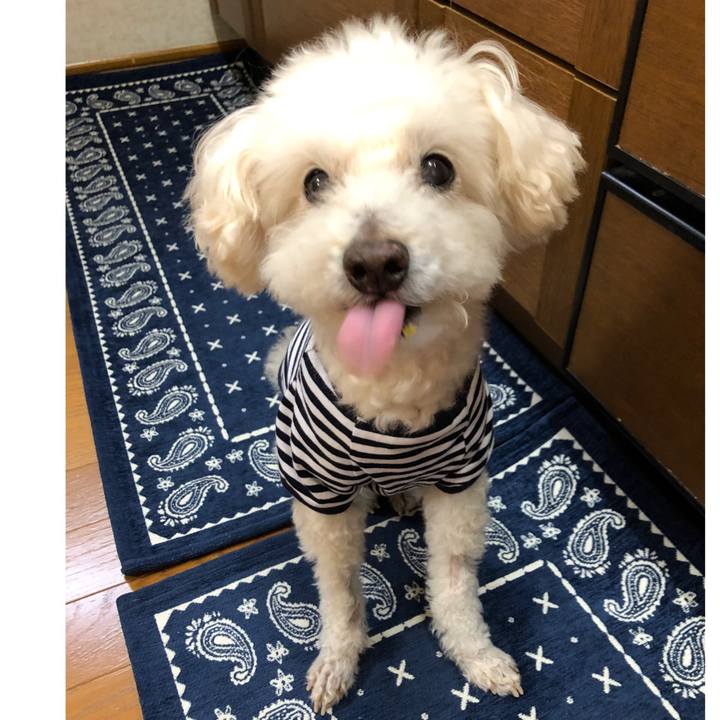 115121a3 4944 4f4d bb4c 7f1b82db39f9 1556056514104