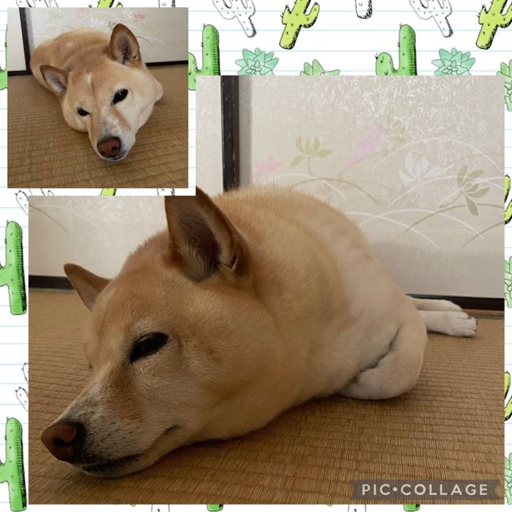 11514e1a 65b6 4382 9945 4dc43c1735b6 1690177783596