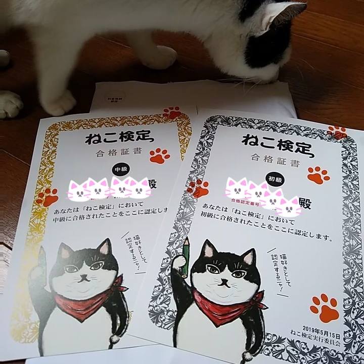 11518740 aede 4782 9f7f 90fd858c9226 1558350492664