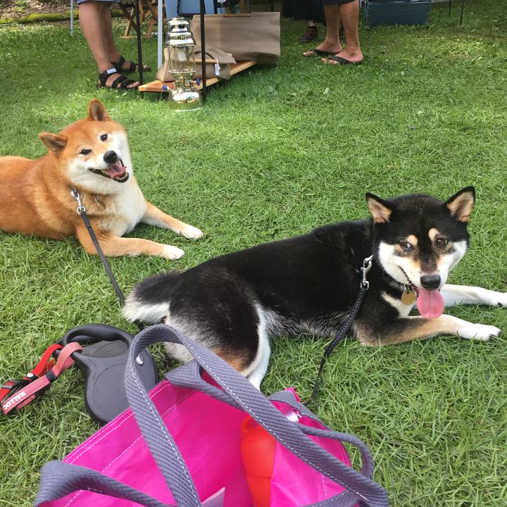 11519f77 a10a 4fbb a70c 5b31b62f2ca0 1564294409258