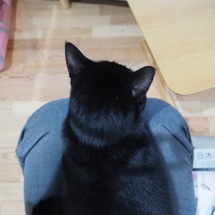 1151a436 b3f6 48a0 a049 7b6a9cfde29f 1546989698374