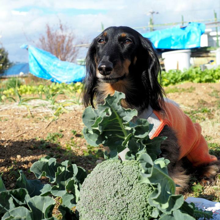 1151ecd7 778d 45d7 8913 e72ff4d86689 1578897197809