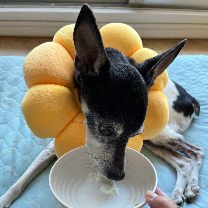 1151fbc6 bf39 4b46 863b 3785e36e575f 1654726775543