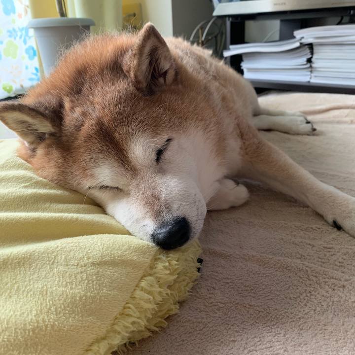 11520a2b f192 4623 b8ad e5e9eb8b46d6 1567844170805