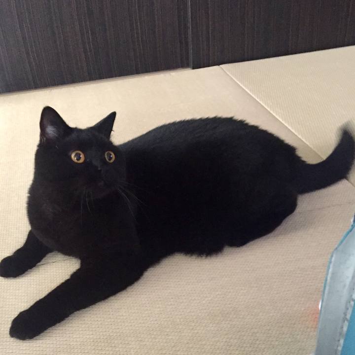 1152135b 2592 479c b2eb 08482167b0d6 1531434288044