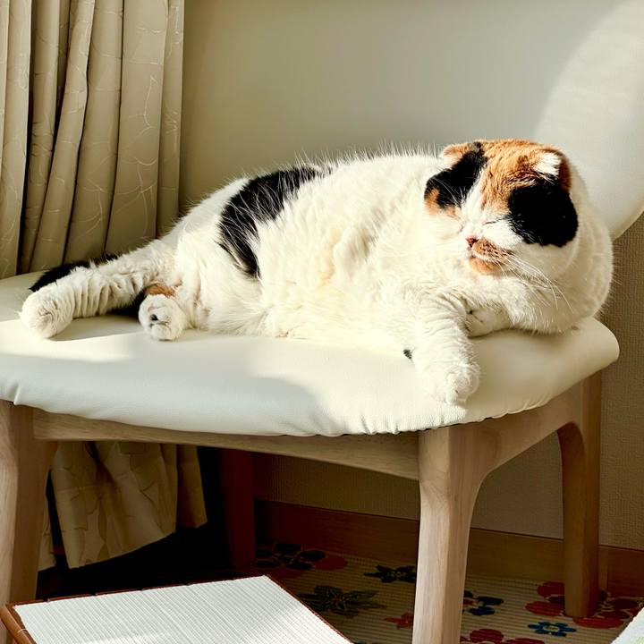 11525554 aa46 4c1f b1c0 f7b56c458b9f 1698707817664