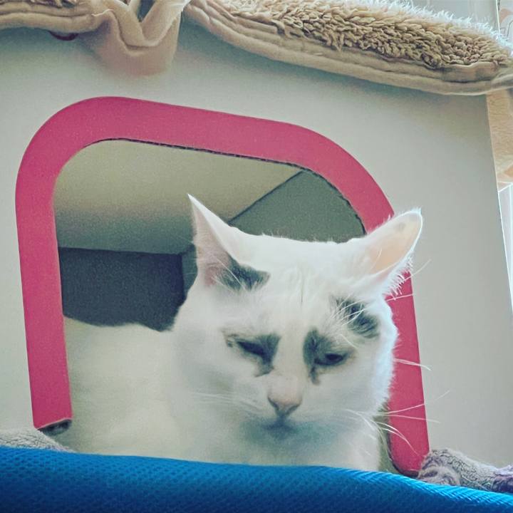 11528f36 c6e3 4124 8ac7 5392be34daf3 1646555217599