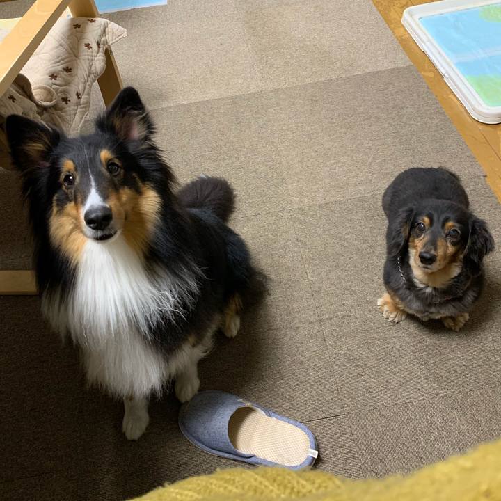 1152981c 5d10 4315 9cfe 7e029973e2a2 1555278444391