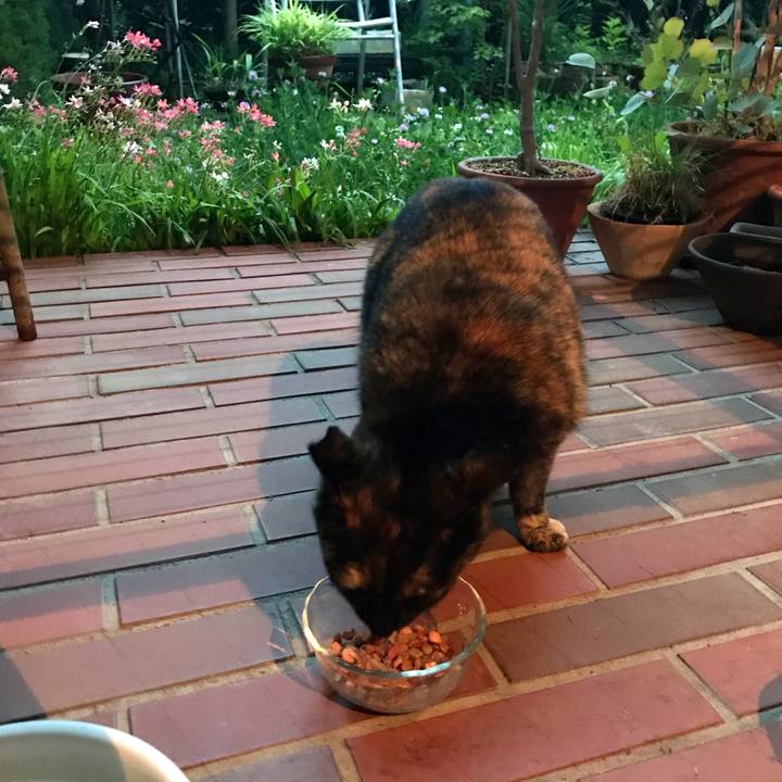 11529ab5 9b45 4d16 a09d 2b87c967ed3c 1620294163749