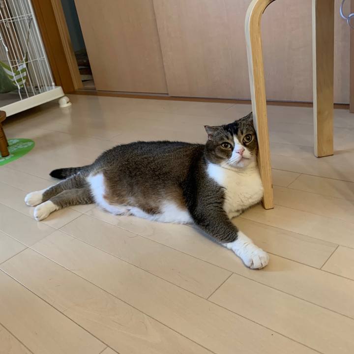 1152a68e 646f 4b96 9951 9b2121f087c0 1599191726785