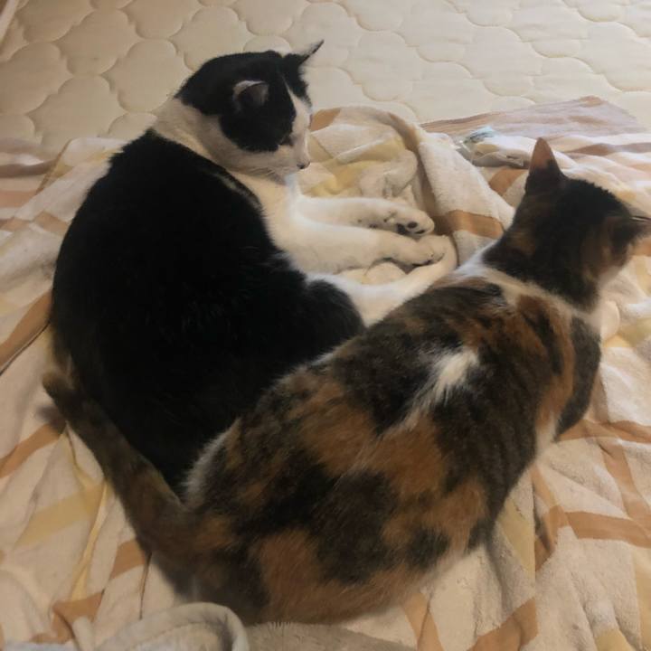 1152d435 d2f6 4628 b5bd db7647a3476c 1577706121311