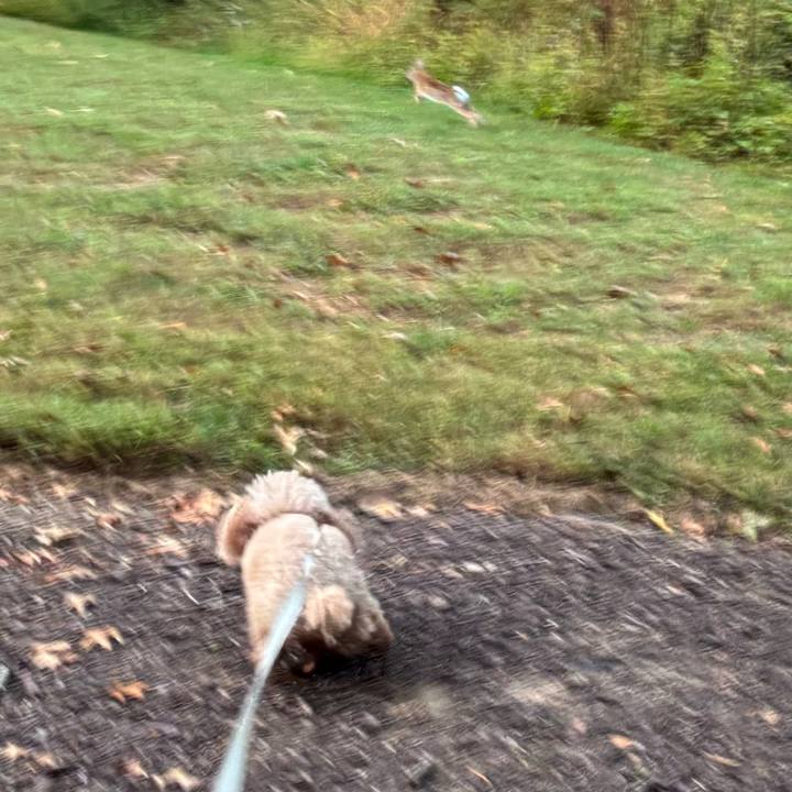 1152daab c6ec 4a24 8633 9c0cb30e2613 1759442189393