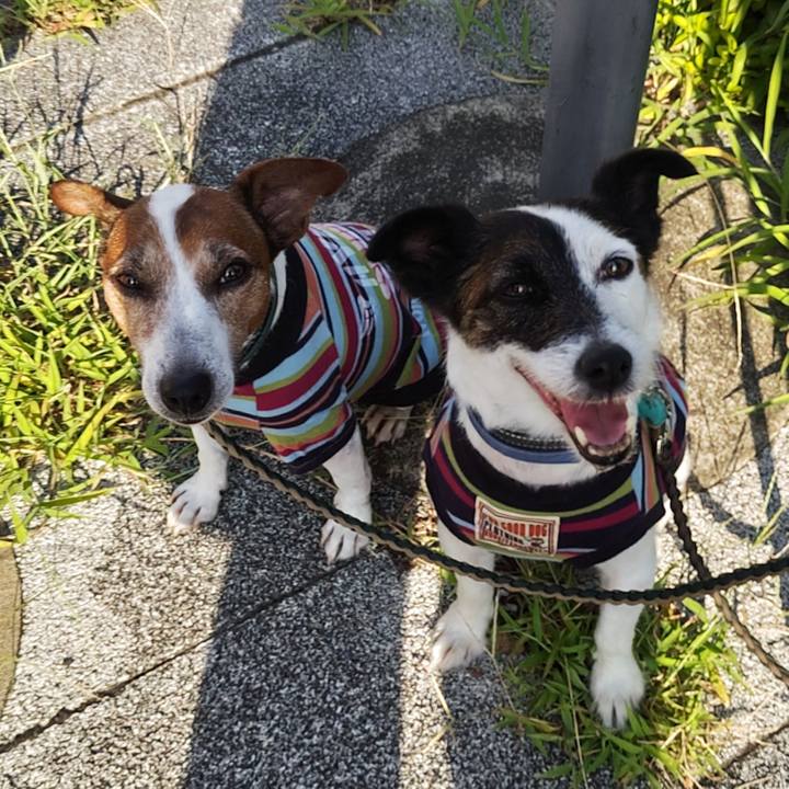 1152edb5 271c 42cb 897a f57052973468 1753222202702