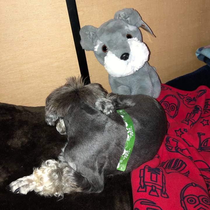 1152f3ad b3f3 4d23 ad1f c1688d252b1d 1560671463658