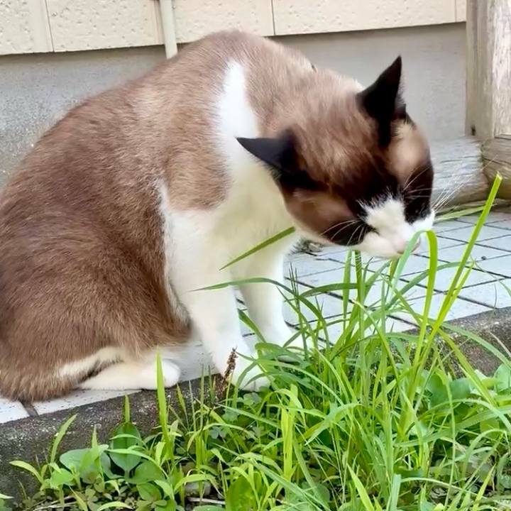 11531fef 68ba 456d 884a 058508e13677 1751445306303