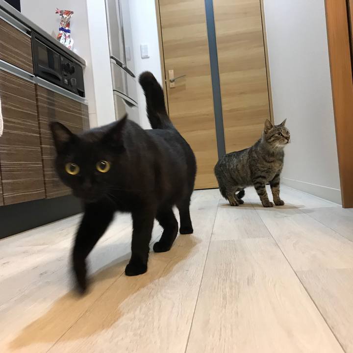 115331a4 d368 4cec a642 a0c128c9d41b 1523672184144