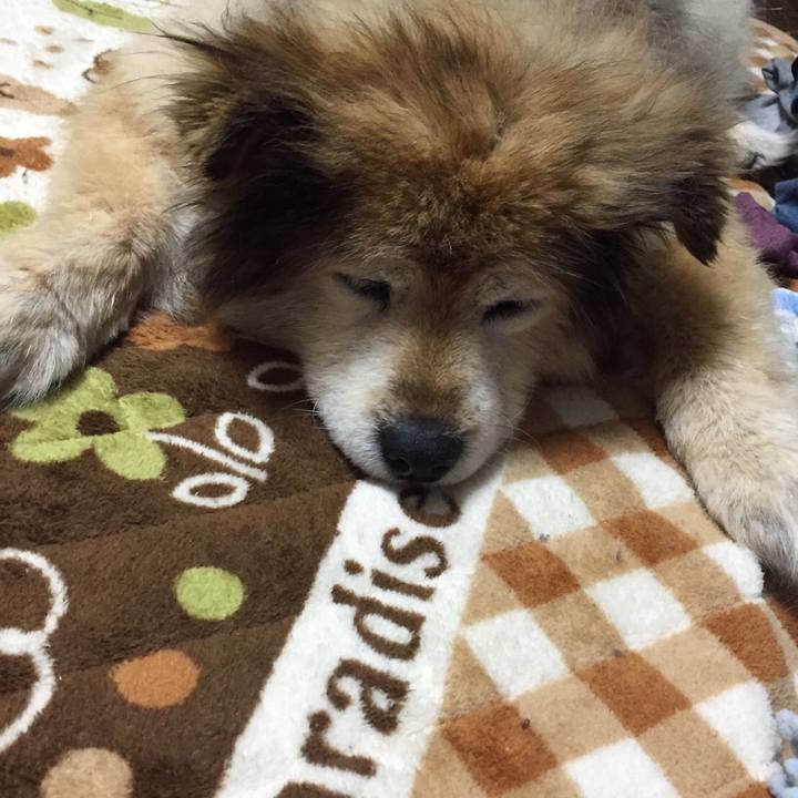 115357a6 153f 4923 a41b 66d64661243e 1605832963531