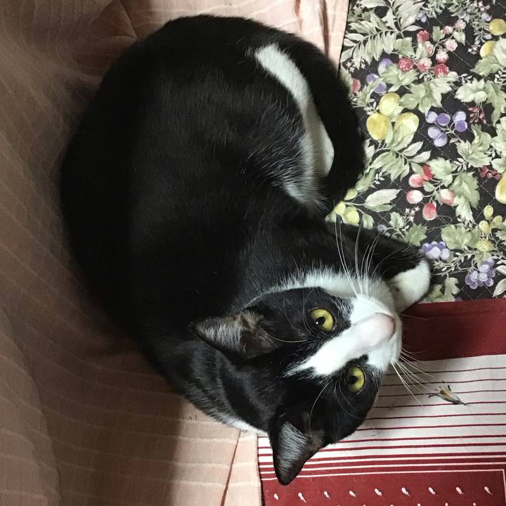 1153831a 5068 4585 897d c1822b7cb8f4 1682600176520