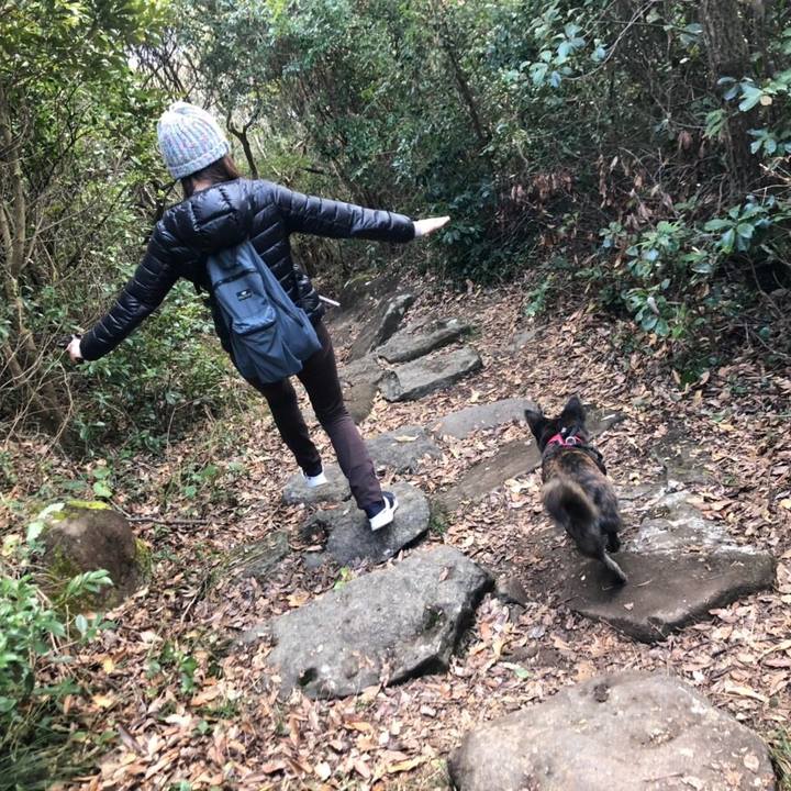 11538e5e e10b 49b6 a718 6b28f1674e55 1547984374764