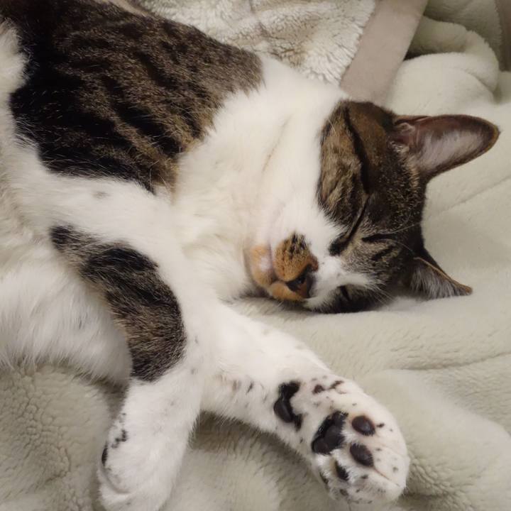 1153b30c db90 4627 a398 e019aa52b1a6 1766023428958