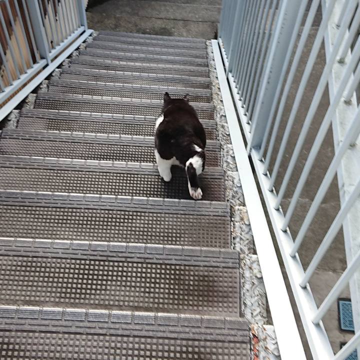 1153f28f 6ac2 445e 8ce5 7cf9792d412e 1663394335236