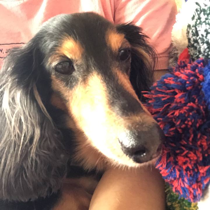 1153f330 690a 4213 b79e a70d5f5600f6 1592103264132