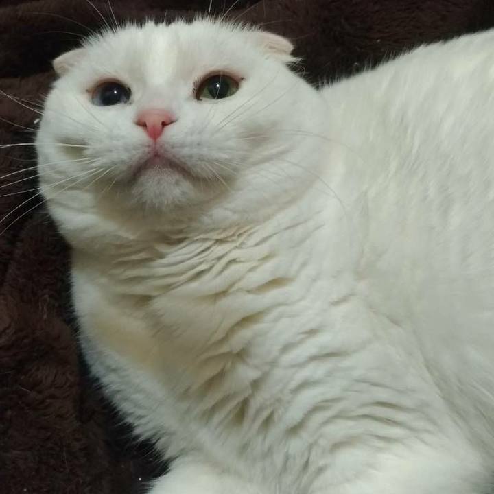 11543e7d bfe3 4393 ba04 dd4285176768 1543118247904