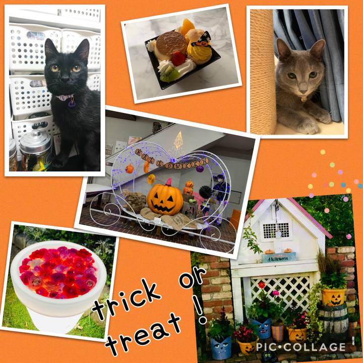 11545917 4200 418d 9543 792da634c733 1603778458516