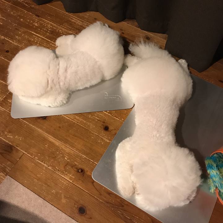 115491f7 bebc 4d17 9f8e 57ae942213c2 1568117357668