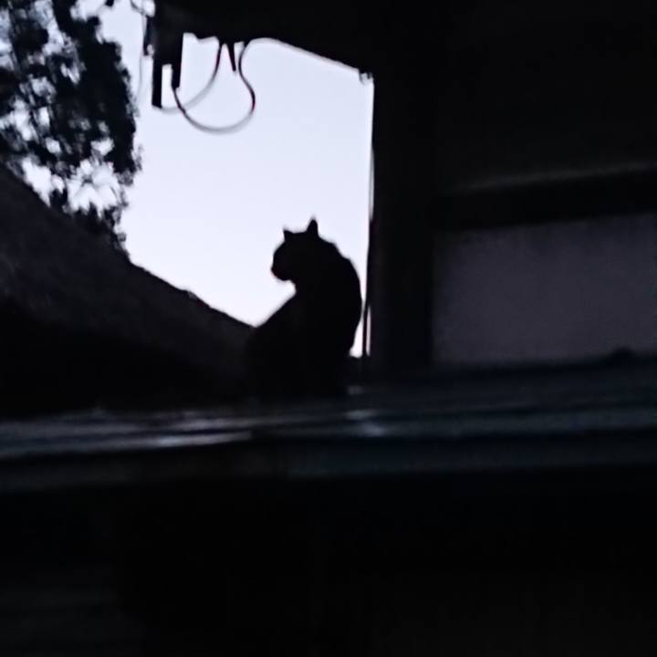 1154bbfb 8dc5 4e35 9d69 4cf7568a9a5e 1623063727921