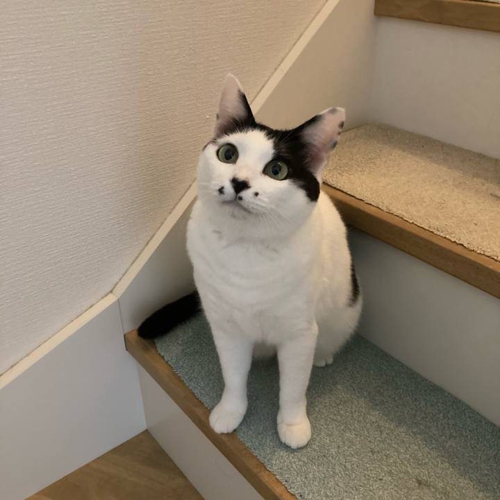 11550753 8eed 453c a3f7 08a0d0cf2e6c 1760298985943