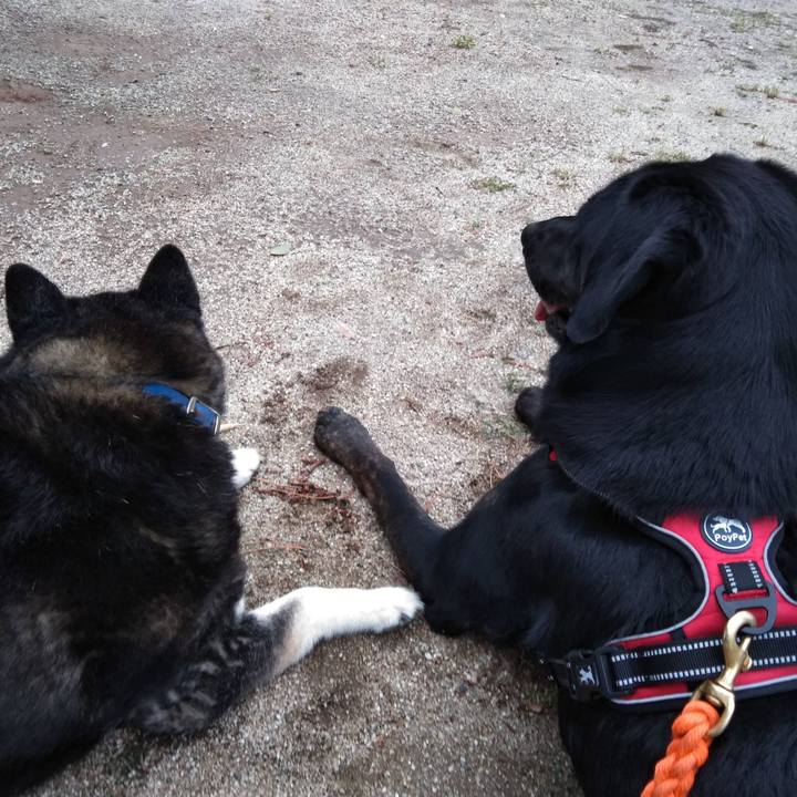 11554b61 4555 438c 9dab 82c6ec462119 1589880297573