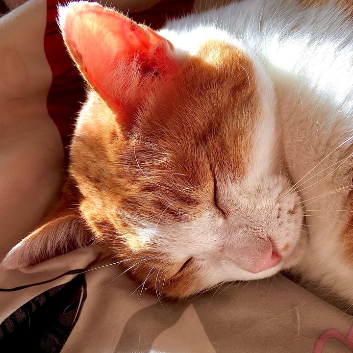 115559b6 4b39 46ba b71c ae8c0e9577ac 1574139187282