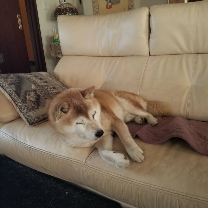 1155b013 15e4 4215 8bfe 7a16e4d9be1e 1742165979465