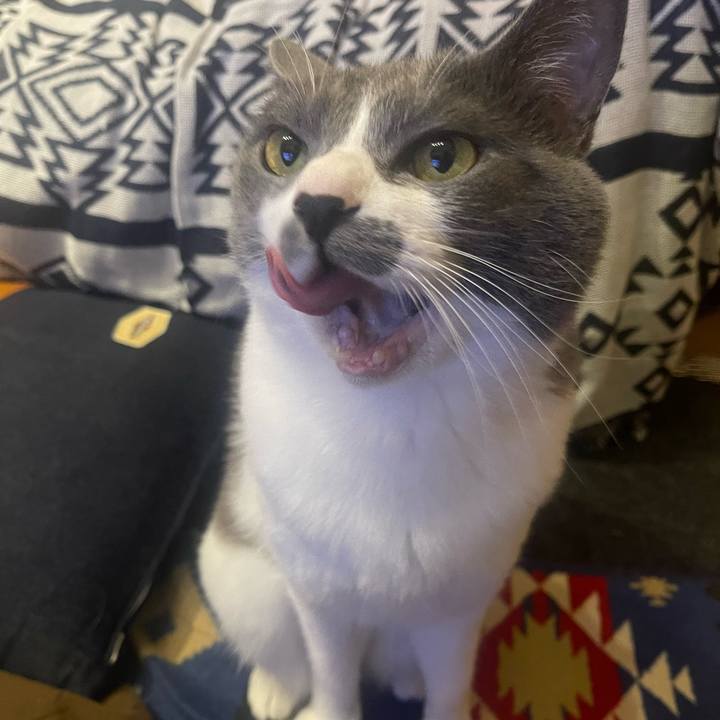 1155c20f 61df 4705 bf09 d45f68a01e6e 1669711563833